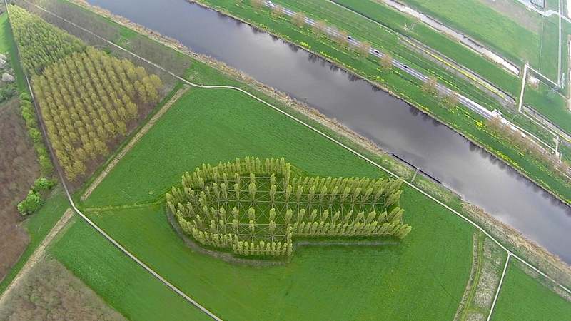 Illustration for article titled Behold These Incredible Works Of Architecture Made Out Of Living Trees
